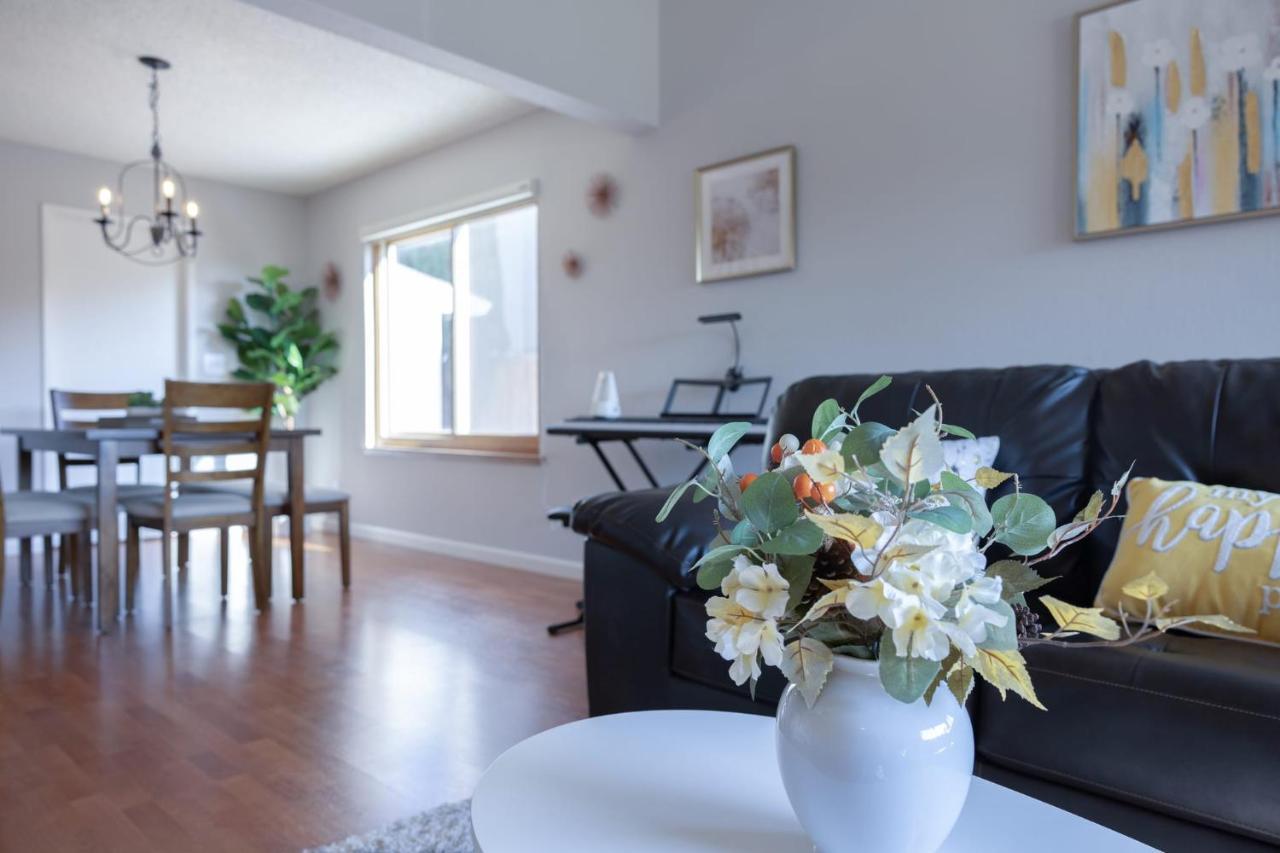 @ Marbella Lane - 4Br Cozy Home In Sj Pool 새너제이 외부 사진